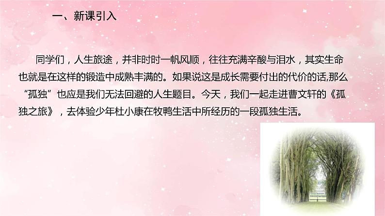部编版九年级上册语文第17课孤独之旅课件02