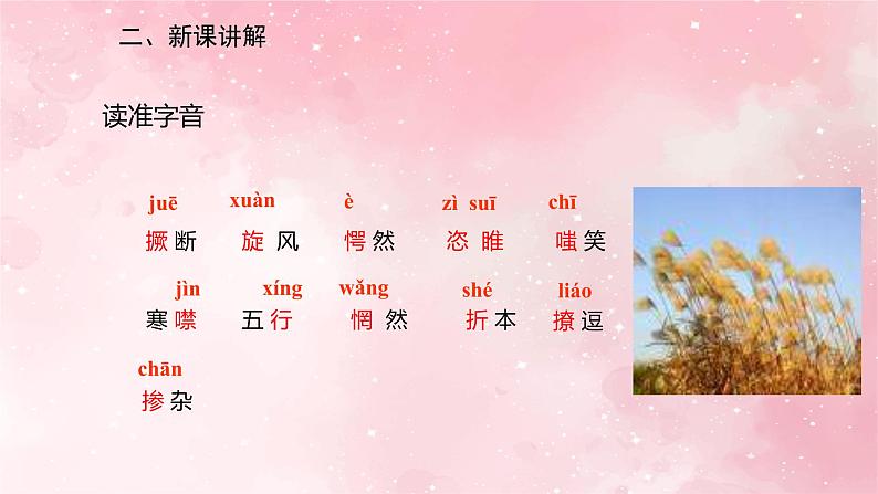 部编版九年级上册语文第17课孤独之旅课件05