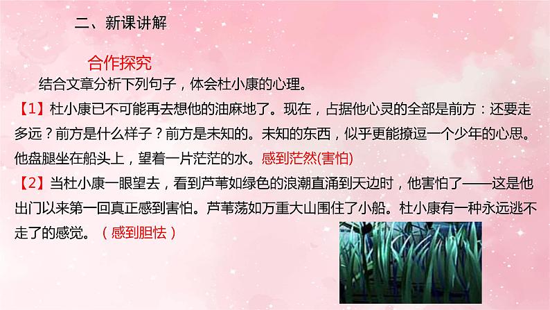 部编版九年级上册语文第17课孤独之旅课件08