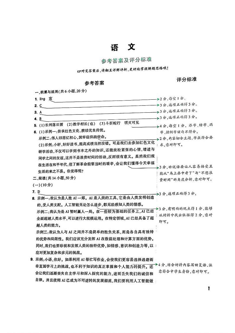 2024年湖南省益阳市桃江县多校联考中考三模考试语文试题01