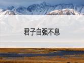第二单元综合性学习《君子自强不息》课件-2024-2025学年统编版语文九年级上册