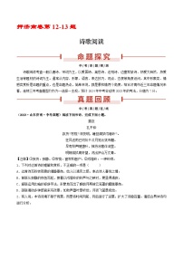 押济南卷第12-13题  诗歌阅读-备战中考语文临考题号押题（山东济南卷）