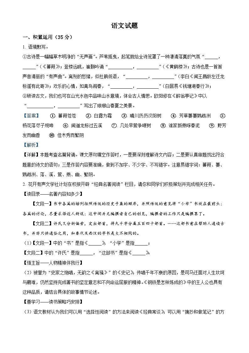 2024年宁夏石嘴山市大武口区中考二模语文试题01