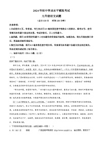 2024年山东省日照市岚山区中考二模语文试题