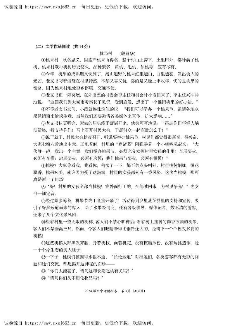 2024年湖南省株洲市芦淞区初中学业水平考试模拟检测语文试题卷第3页