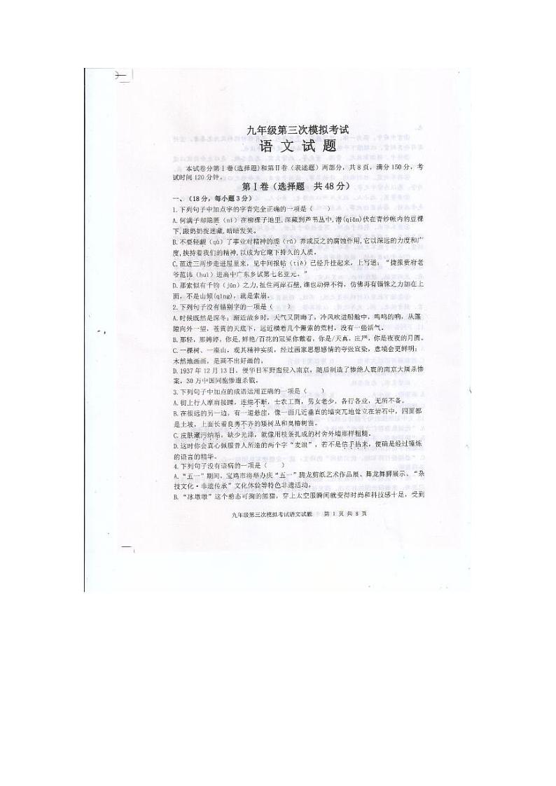 2024年山东省泰安市中考三模语文试题第1页