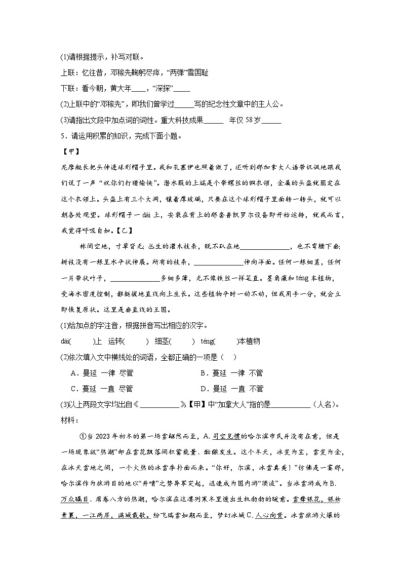 基础知识综合-部编版语文七年级下册期末专项复习试题第2页
