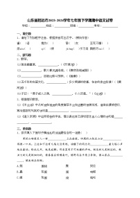 山东省招远市2023-2024学年七年级下学期期中语文试卷(含答案)