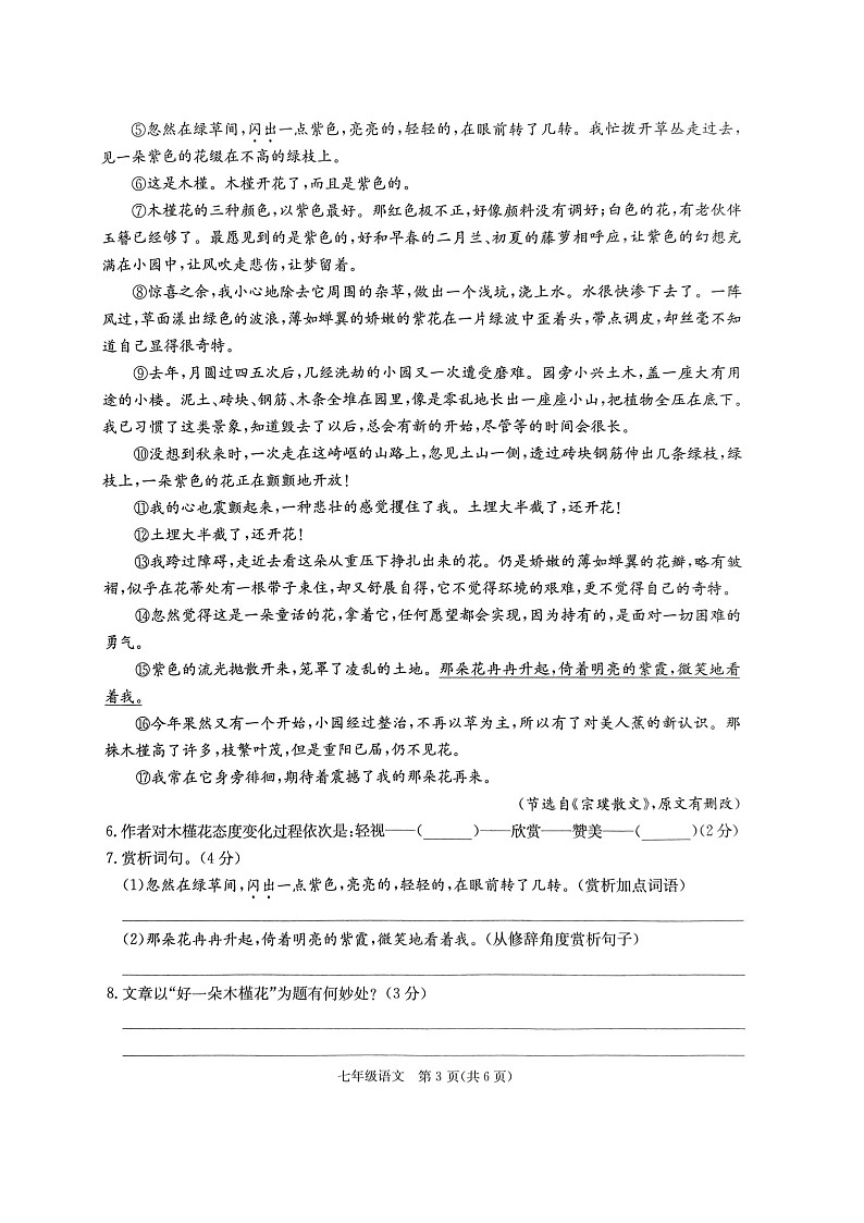 广西来宾市2023-2024学年七年级下学期语文6月月考试卷03