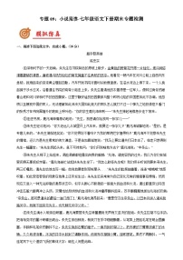 专题09：小说阅读-七年级语文下册期末复习专题检测(原卷版+解析)