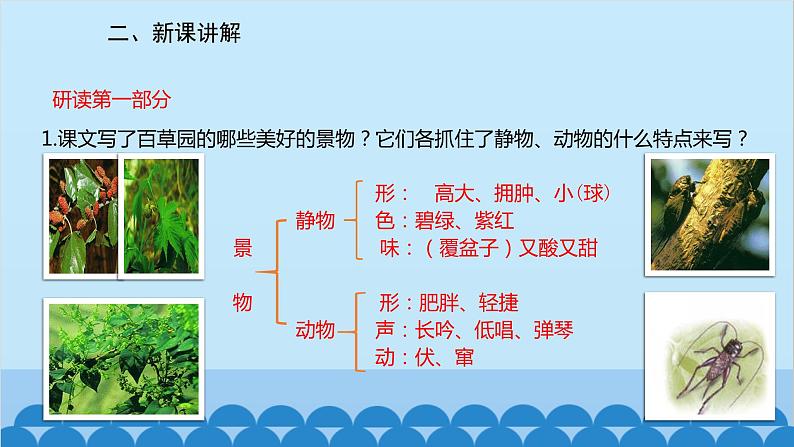 统编版语文七年级上册 9《从百草园到三味书屋》课件第8页