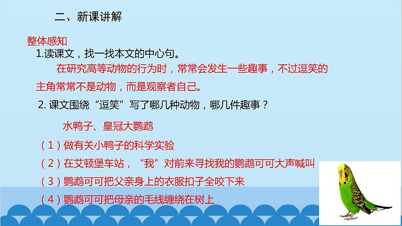 统编版语文七年级上册 17《动物笑谈》课件05