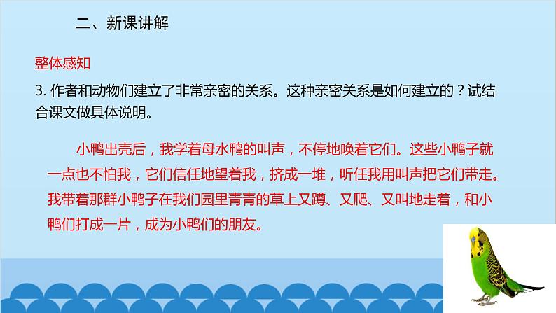 统编版语文七年级上册 17《动物笑谈》课件06