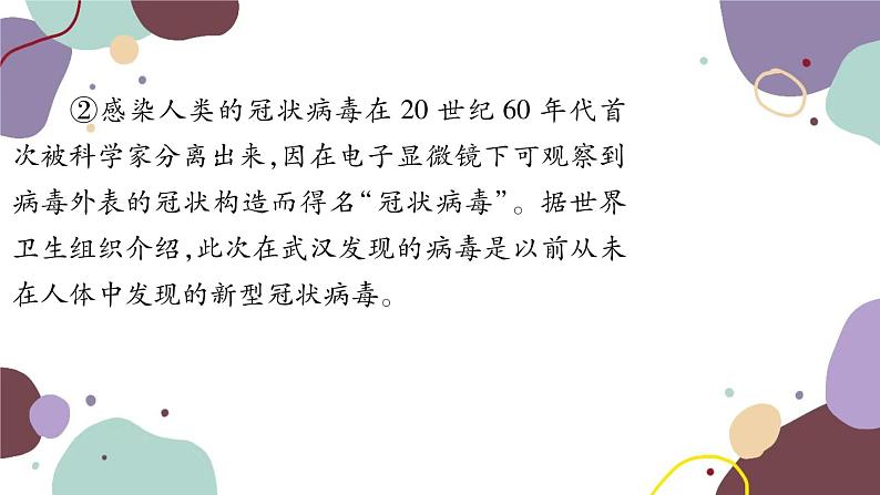 统编版语文九年级上册 专练六说明文阅读课件04