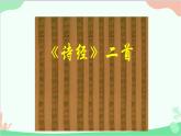 统编版（五四制）语文八年级下册 12.《诗经》二首之一蒹葭课件