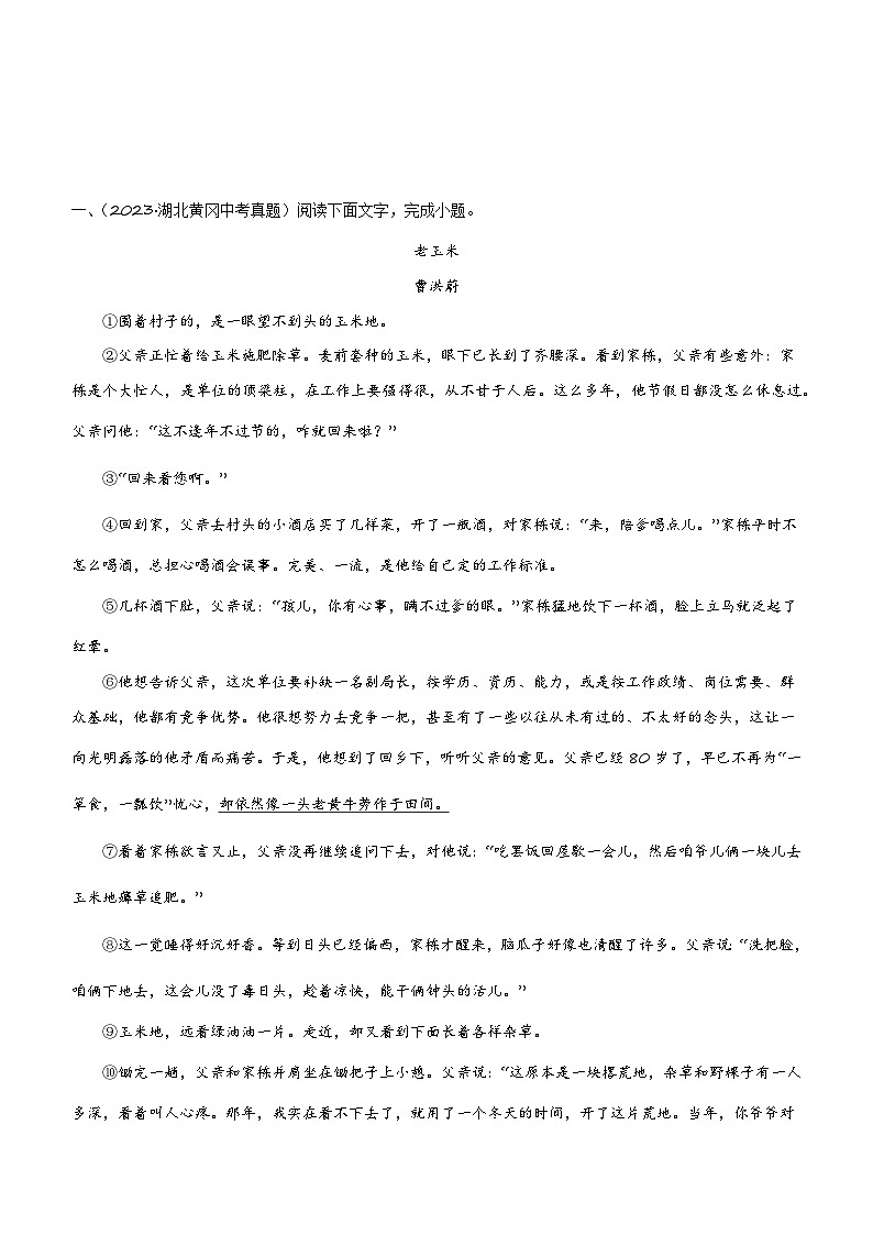 专项六 概括人物形象-2024年中考语文三轮现代文阅读冲刺练习（全国通用）03