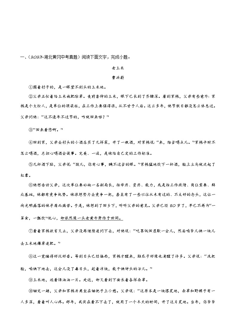 专项六 概括人物形象-2024年中考语文三轮现代文阅读冲刺练习（全国通用）03