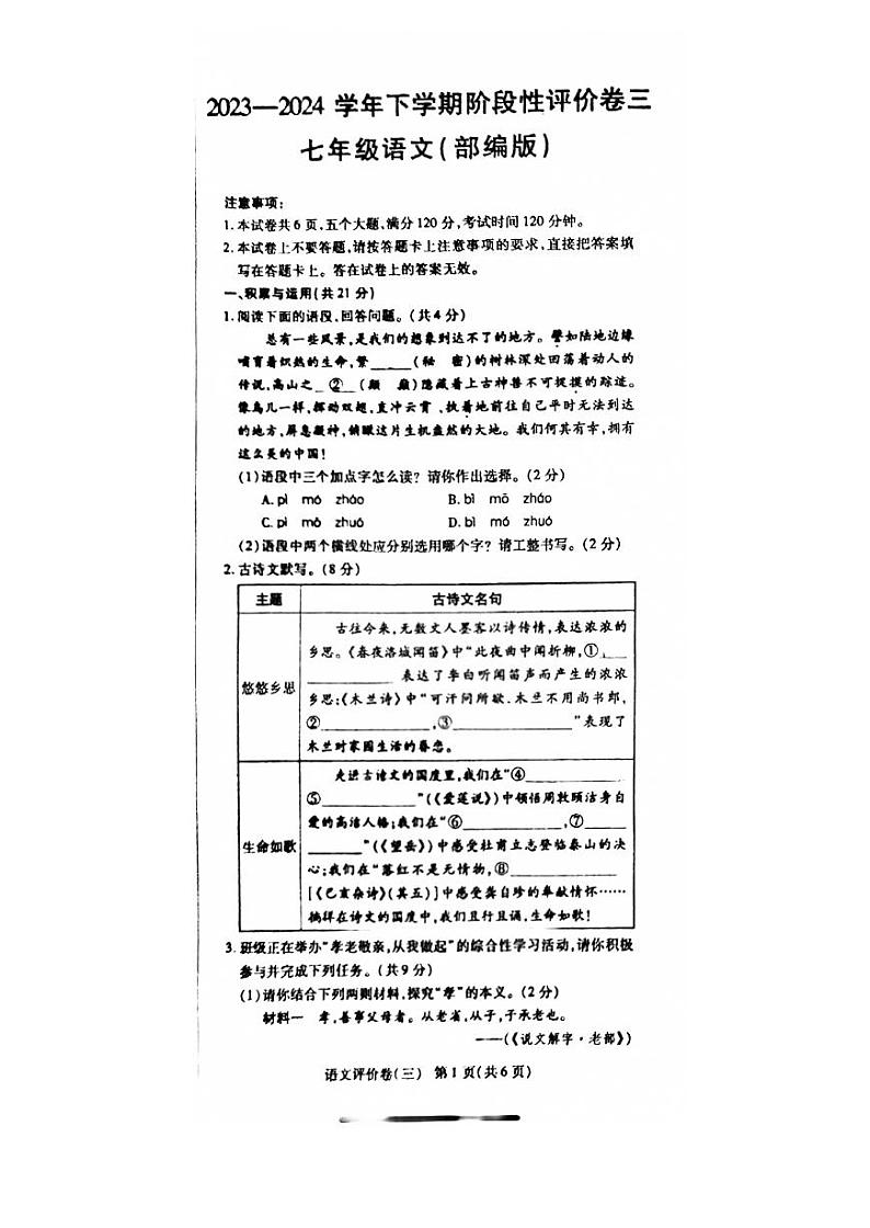 河南省商丘市夏邑县2023-2024学年七年级下学期6月月考语文试题01