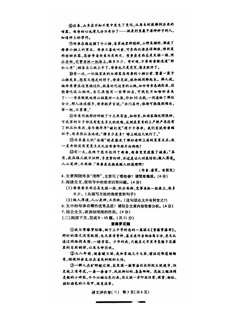 河南省商丘市夏邑县2023-2024学年七年级下学期6月月考语文试题03