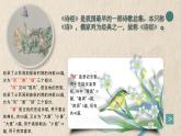 部编版八年级下册12《诗经二首-关雎》课件