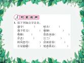 统编版语文九年级上册 第3单元 游目骋怀习题课件