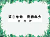 統(tǒng)編版語文九年級上冊 第4單元 青春年少習(xí)題課件
