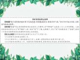 統(tǒng)編版語文九年級上冊 第4單元 青春年少習(xí)題課件