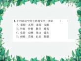 統(tǒng)編版語文九年級上冊 第4單元 青春年少習(xí)題課件