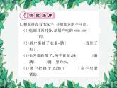 统编版语文九年级上册 第6单元 人物百态习题课件
