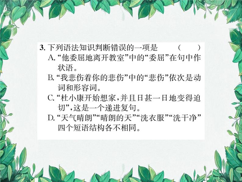 专题7 语法知识第4页