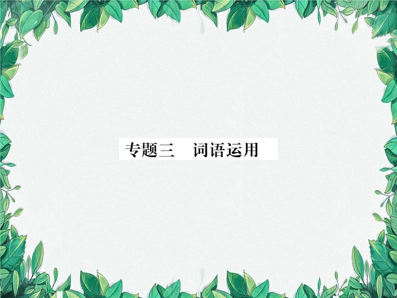 专题3 词语运用第1页