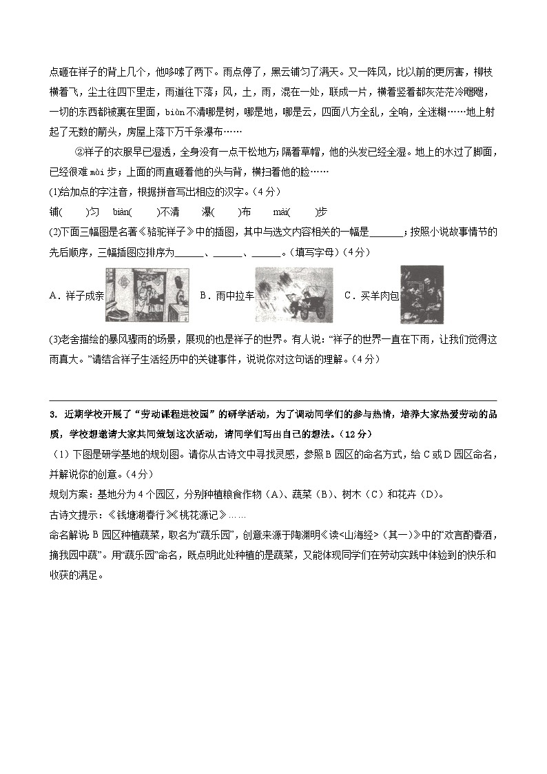2024年中考语文押题预测卷02（安徽卷）-（含考试版、答案、解析和答题卡）02