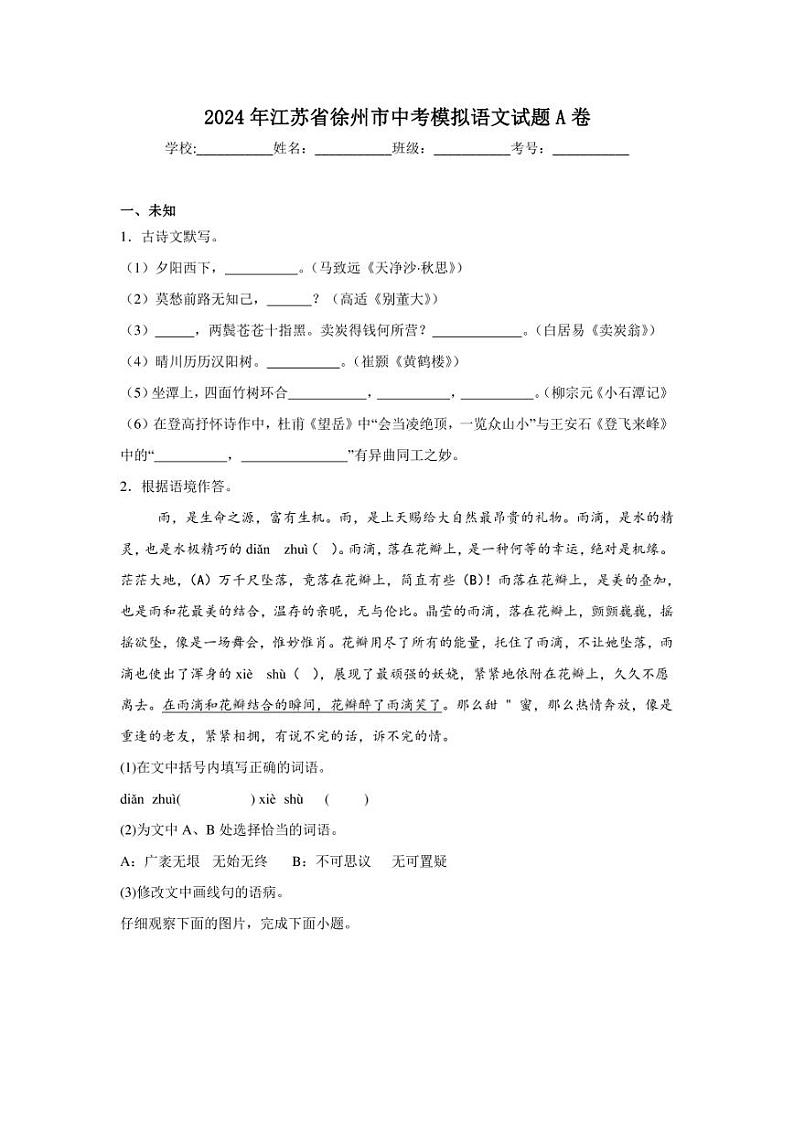 2024年江苏省徐州市中考模拟语文试题A卷01