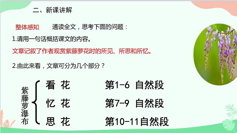 统编版语文七年级下册 18 紫藤萝瀑布课件第7页