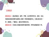 统编版语文八年级上册 4《一着惊海天——目击我国航母舰载战斗机首架次成功着舰》课件