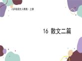 统编版语文八年级上册 16《散文二篇》课件