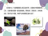 统编版语文八年级上册 16《散文二篇》课件
