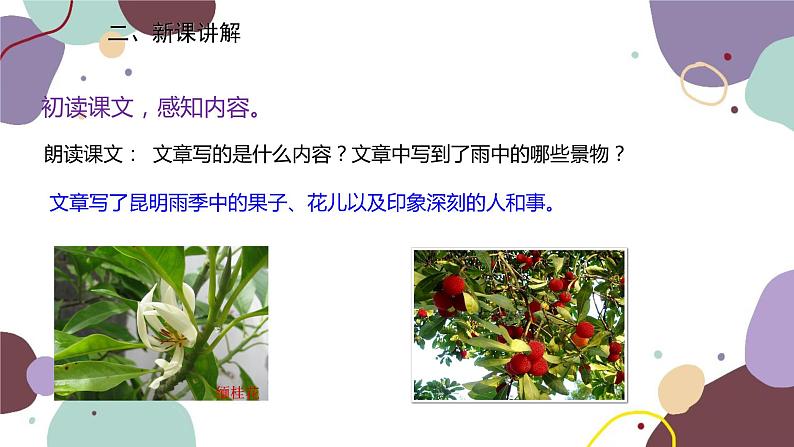 统编版语文八年级上册 17《昆明的雨》课件07