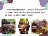 统编版语文八年级上册 19《苏州园林》课件