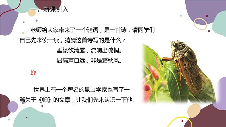 统编版语文八年级上册 21《蝉》课件02