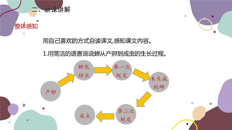 统编版语文八年级上册 21《蝉》课件07