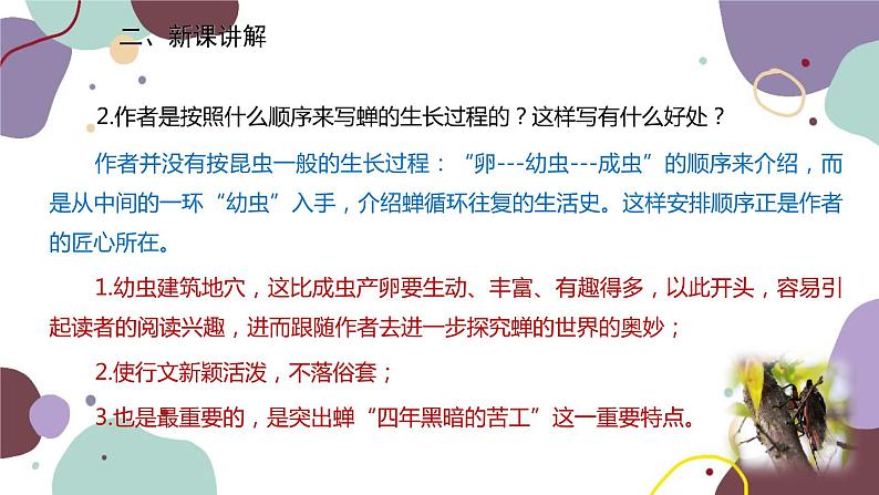 统编版语文八年级上册 21《蝉》课件08