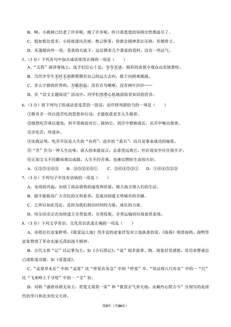 2024年甘肃省武威市民勤县新河中学联考中考三模语文试题03