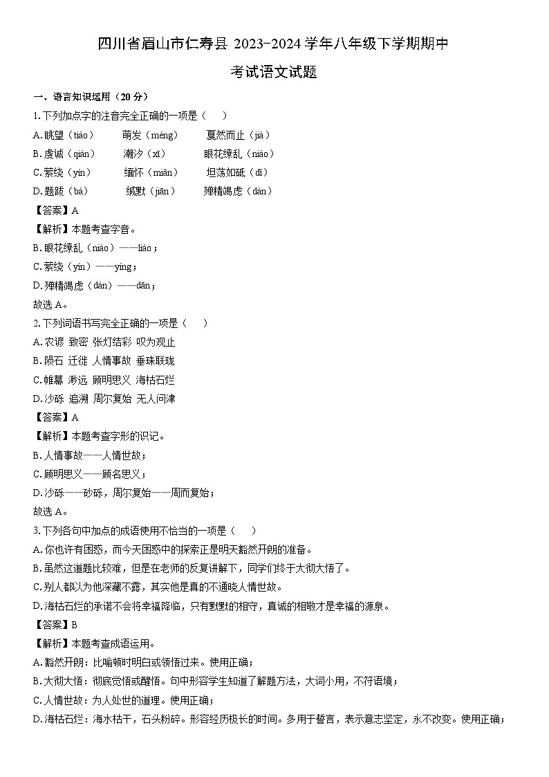 [语文]四川省眉山市仁寿县2023-2024学年八年级下学期期中考试试题（解析版）01