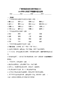 广西壮族自治区玉林市容县2023-2024学年七年级下学期期中语文试卷(含答案)