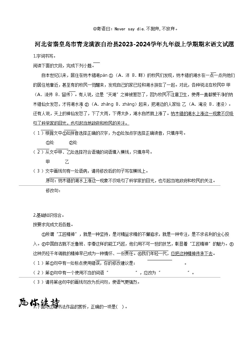 [语文]河北省秦皇岛市青龙满族自治县2023-2024学年九年级上学期期末语文试题第1页