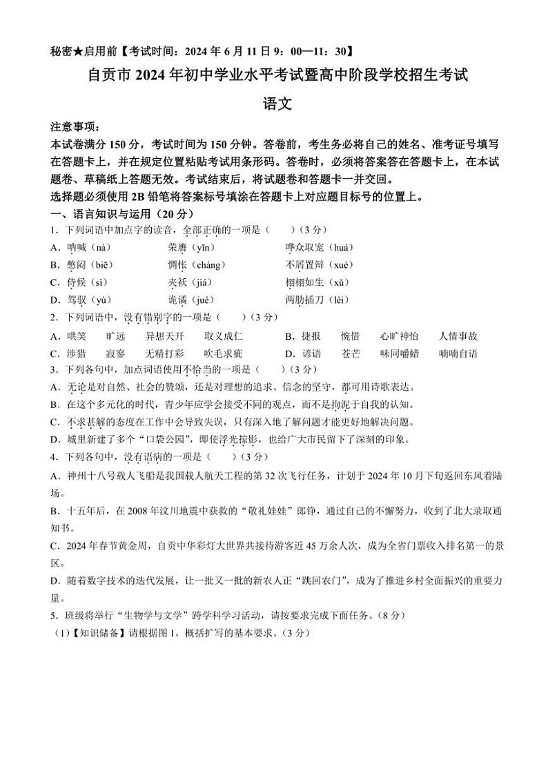 [语文]2024年四川省自贡市中考语文真题(无答案)01