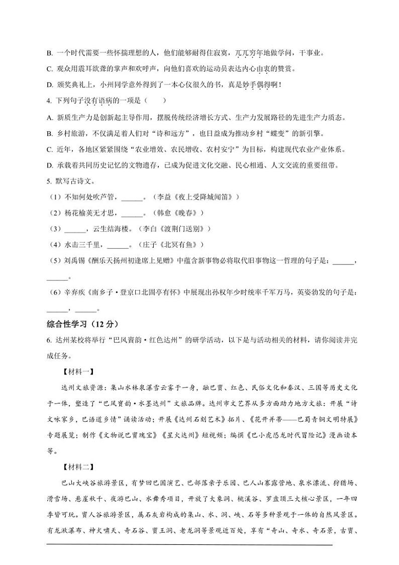 [语文]2024年四川省达州市中考语文真题（解析版）02