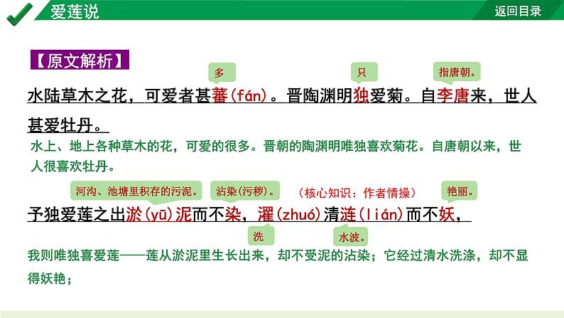 2024成都语文中考试题研究备考 古诗文阅读 爱莲说“三行对译”（讲）【课件】第4页