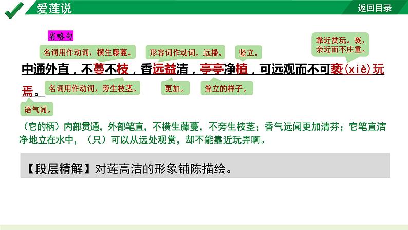 2024成都语文中考试题研究备考 古诗文阅读 爱莲说“三行对译”（讲）【课件】第5页